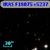 IRAS F18075+5237