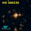 HD 300230