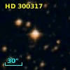 HD 300317
