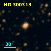 HD 300313