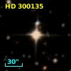 HD 300135