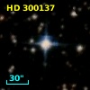HD 300137