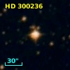 HD 300236