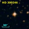 HD 300246