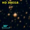 HD 300318