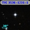 TYC 3536-1231-1