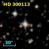 HD 300113
