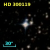 HD 300119