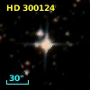 HD 300124