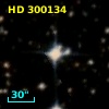 HD 300134