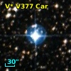 V* V377 Car
