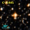 C* 1441