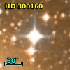 HD 300160