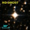 HD 300207