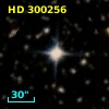 HD 300256