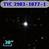 TYC 3903-1077-1