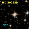 HD 302239