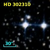 HD 302310