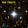 HD  79075