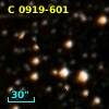 C 0919-601