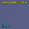 IRAS 09065-5918