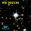 HD 302134