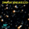 2MASX J09165123-5820038