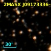 2MASX J09173336-6027510