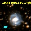 1RXS J091330.1-604707