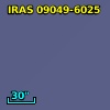 IRAS 09049-6025