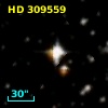 HD 309559