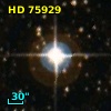 HD  75929