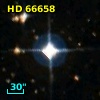HD  66658