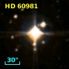 HD  60981
