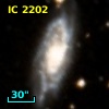IC 2202