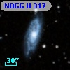 NOGG H  317