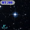 WT  209