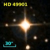 HD  49901