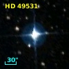 HD  49531