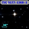 TYC 9177-1360-1
