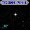 TYC 3907-784-1