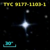 TYC 9177-1103-1
