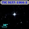 TYC 9177-1164-1