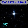 TYC 9177-1910-1