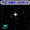 TYC 3907-1129-1