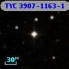 TYC 3907-1163-1
