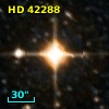 HD  42288