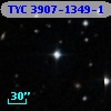 TYC 3907-1349-1