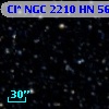 Cl* NGC 2210     HN      56