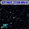Cl* NGC 2210     HN       8